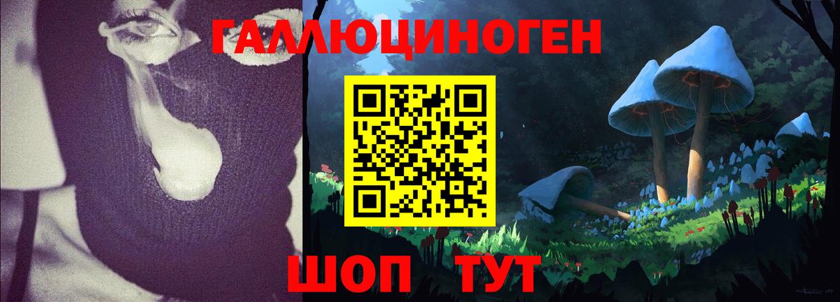 Псилоцибиновые грибы ЛСД  цена наркотик  Галлюциногенные грибы ЛСД  Ртищево  Вход с VPN 